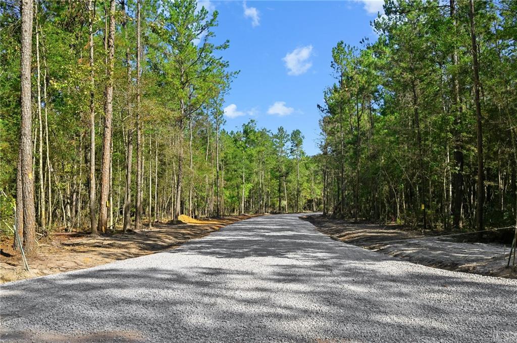 Parcel 6 LOBLOLLY RIDGE Drive
