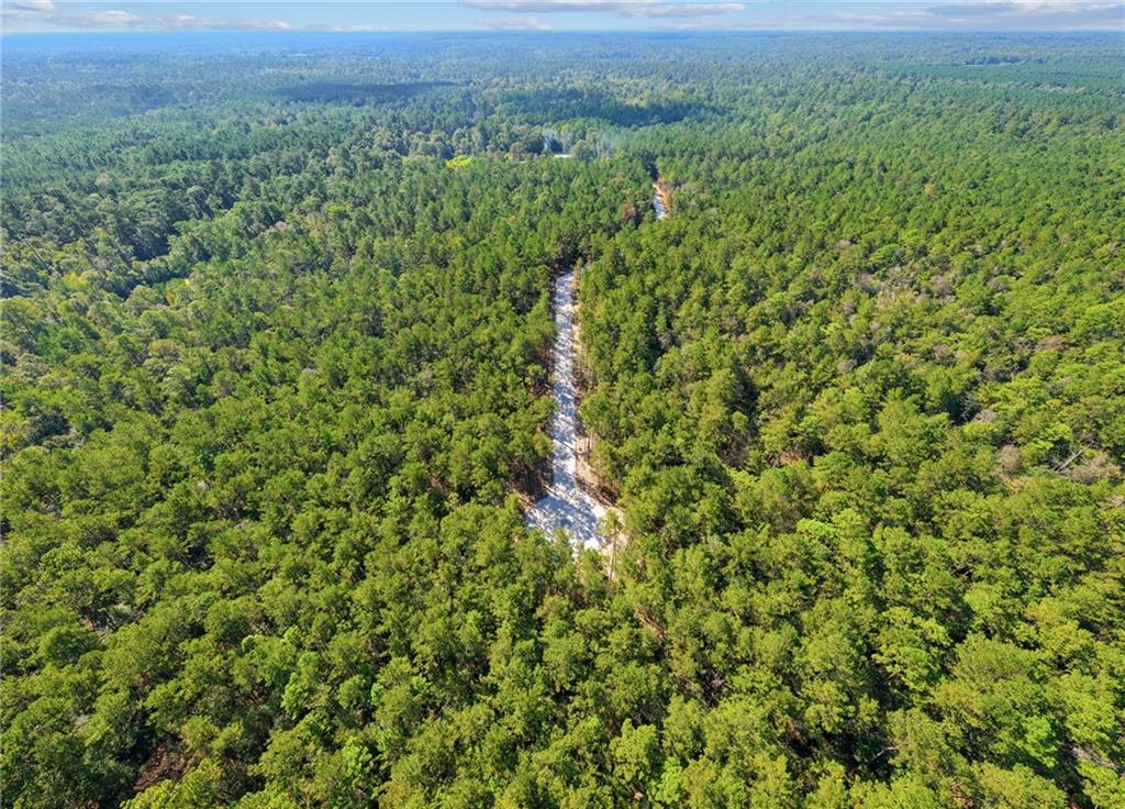 Parcel 6 LOBLOLLY RIDGE Drive