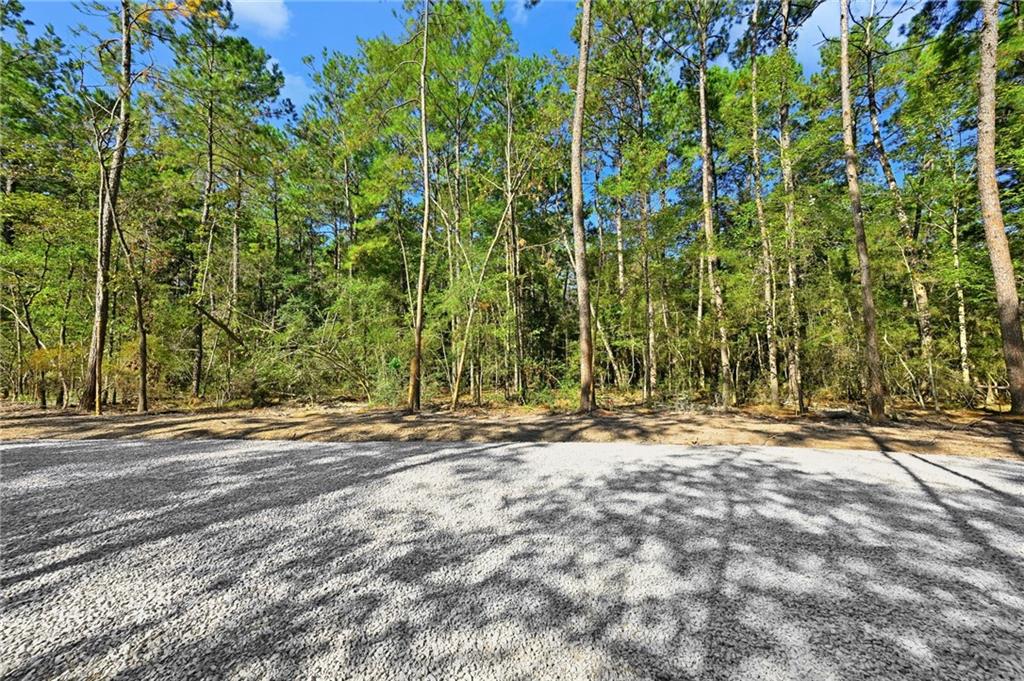 Parcel 4-B LOBLOLLY RIDGE Drive