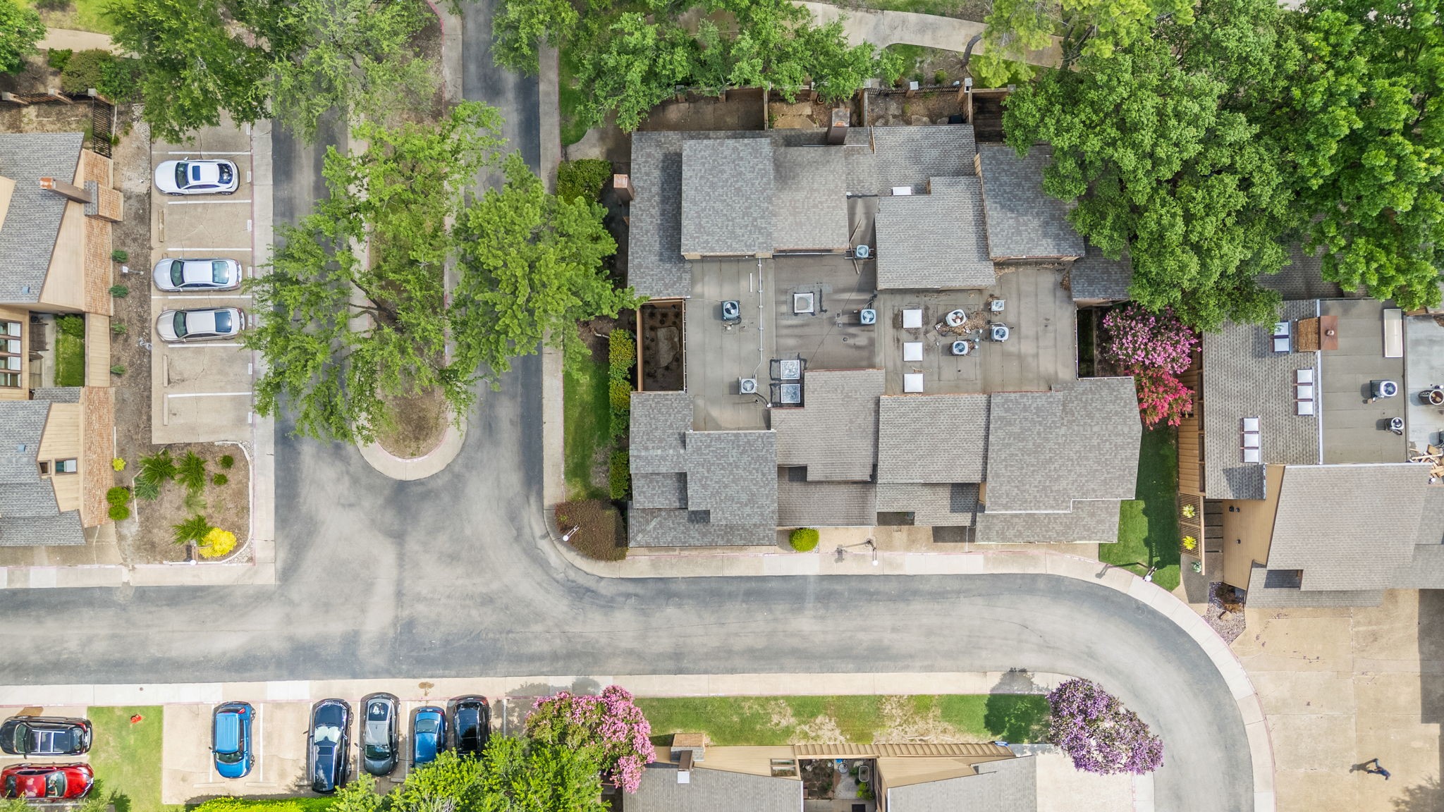 3101 Golden Oak