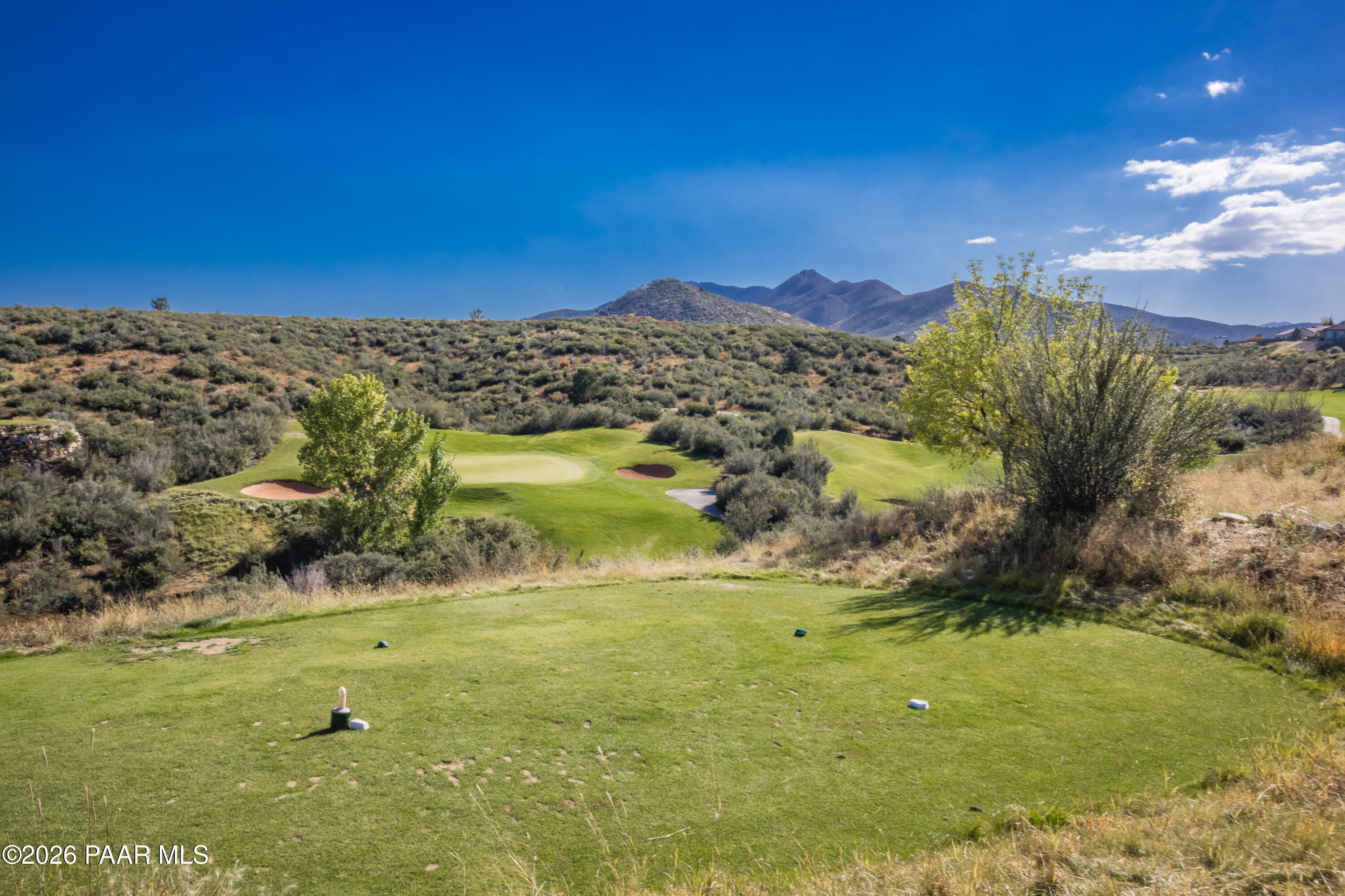 1172 N Cloud Cliff Pass