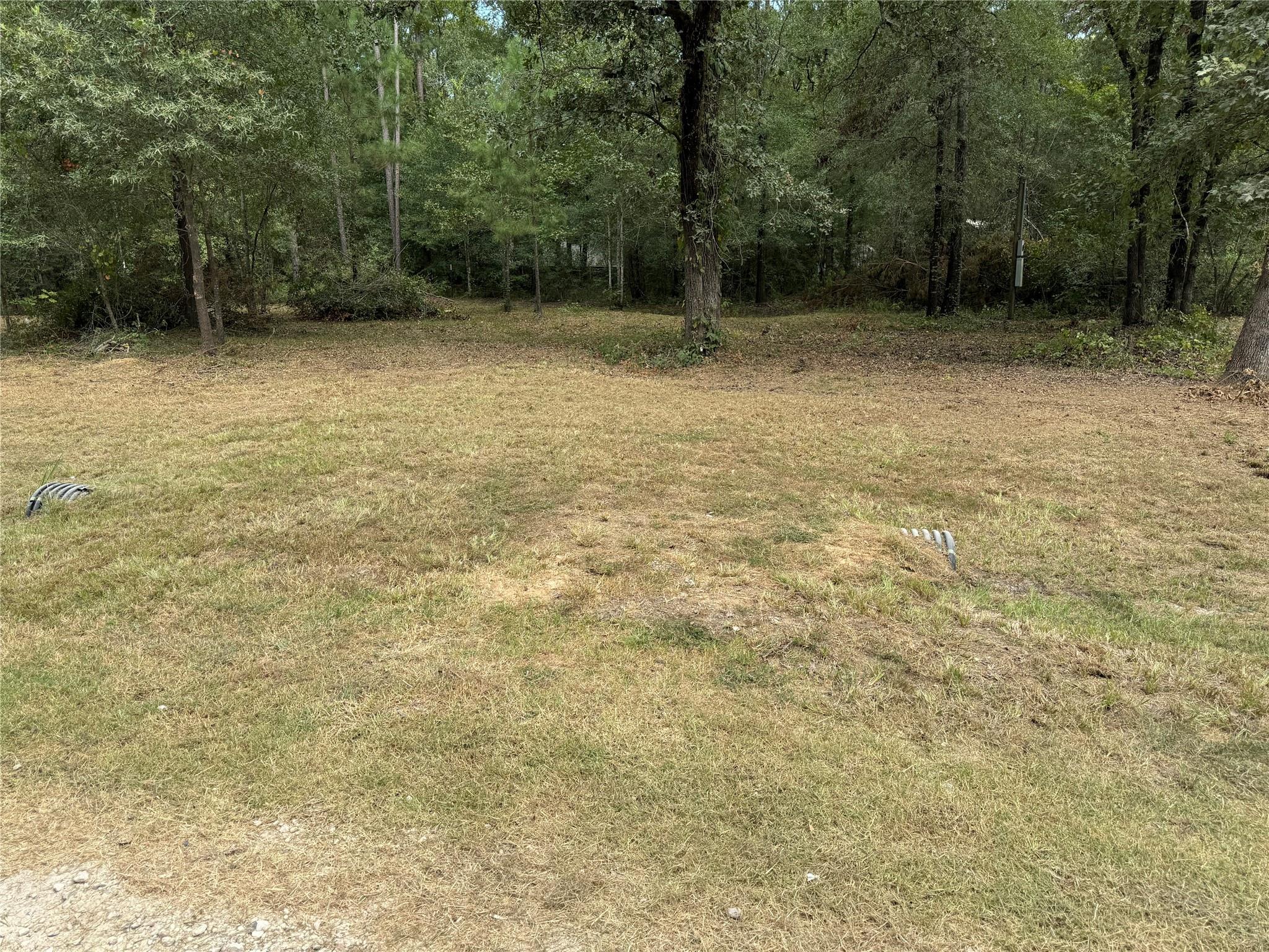 109 Parkpine