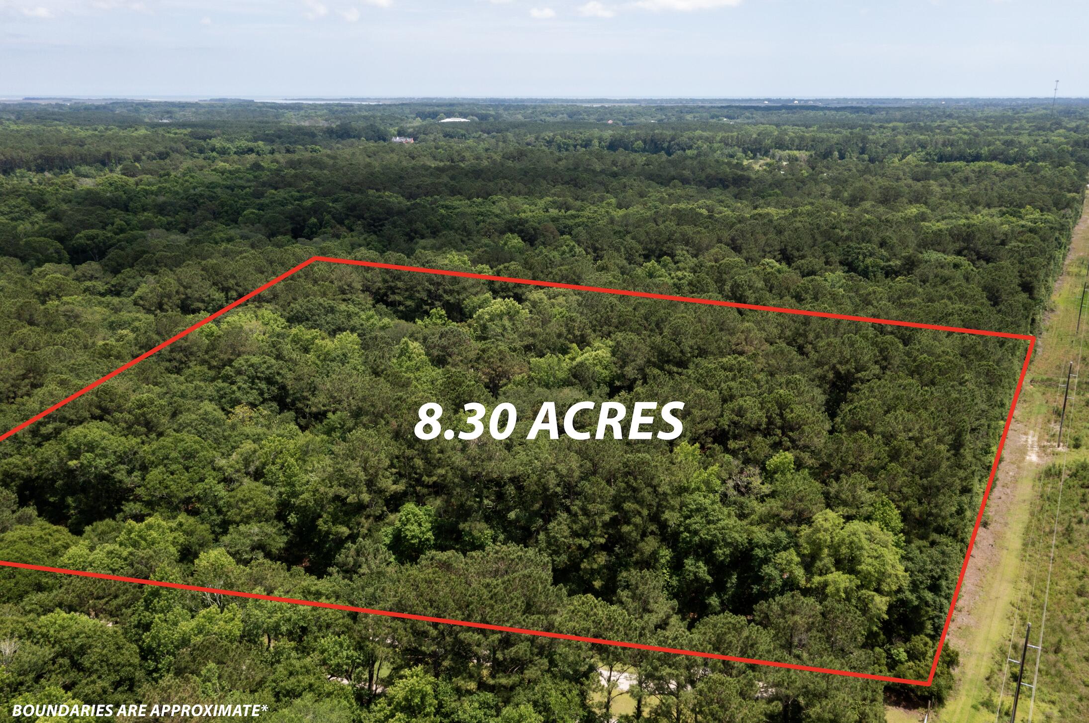 2495 Edenforest