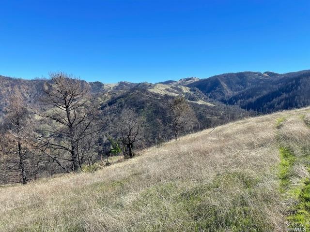 2000 Los Alamos Road