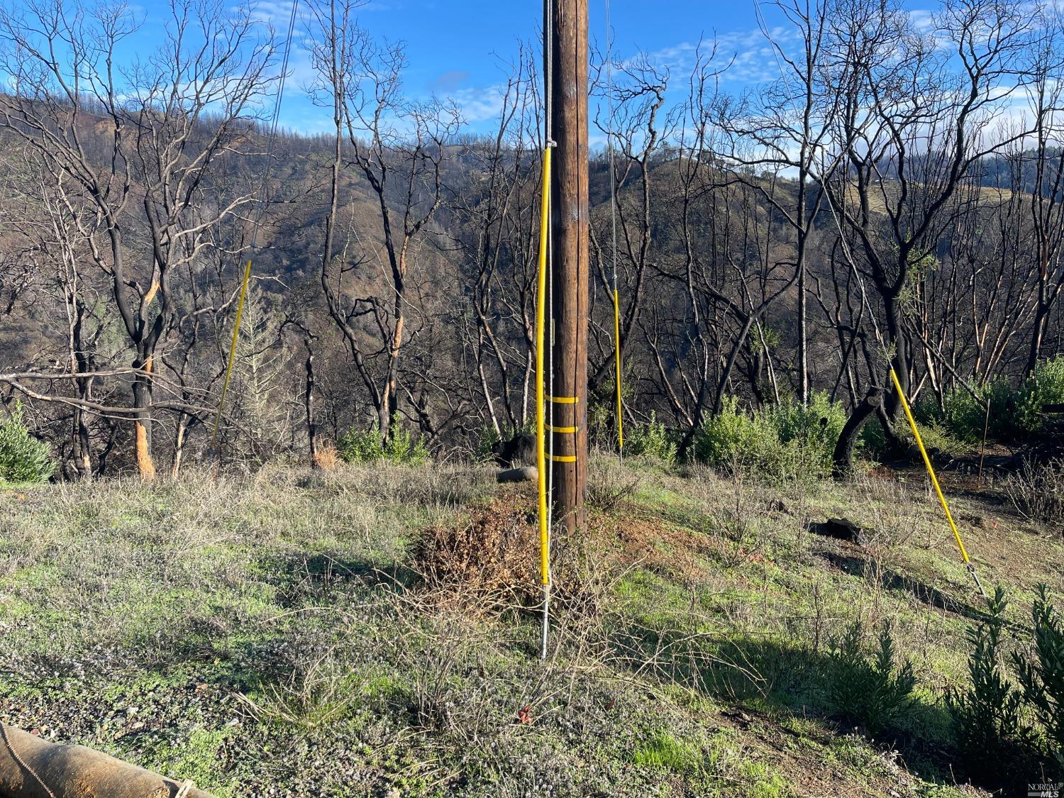 2000 Los Alamos Road