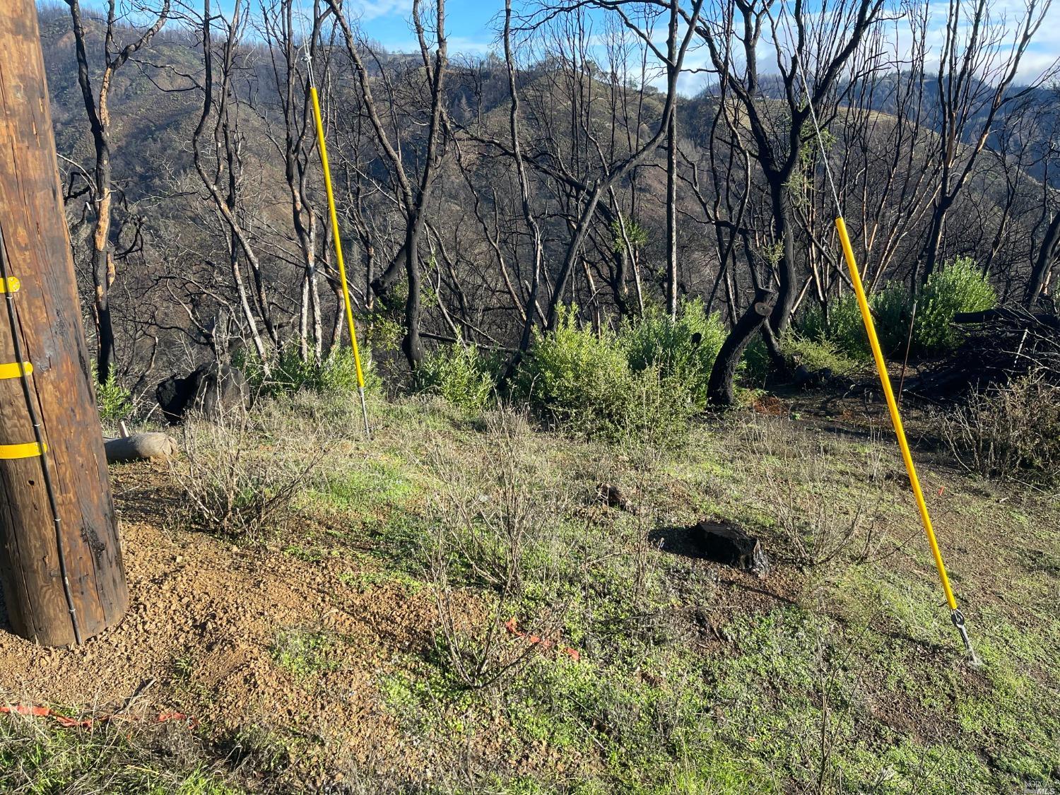 2000 Los Alamos Road