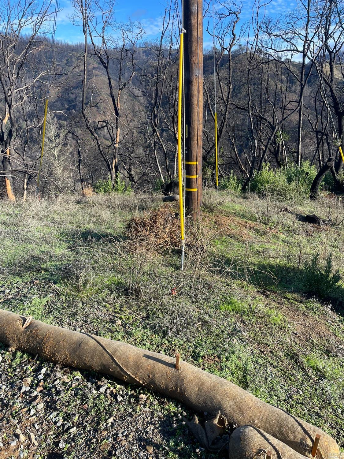 2000 Los Alamos Road