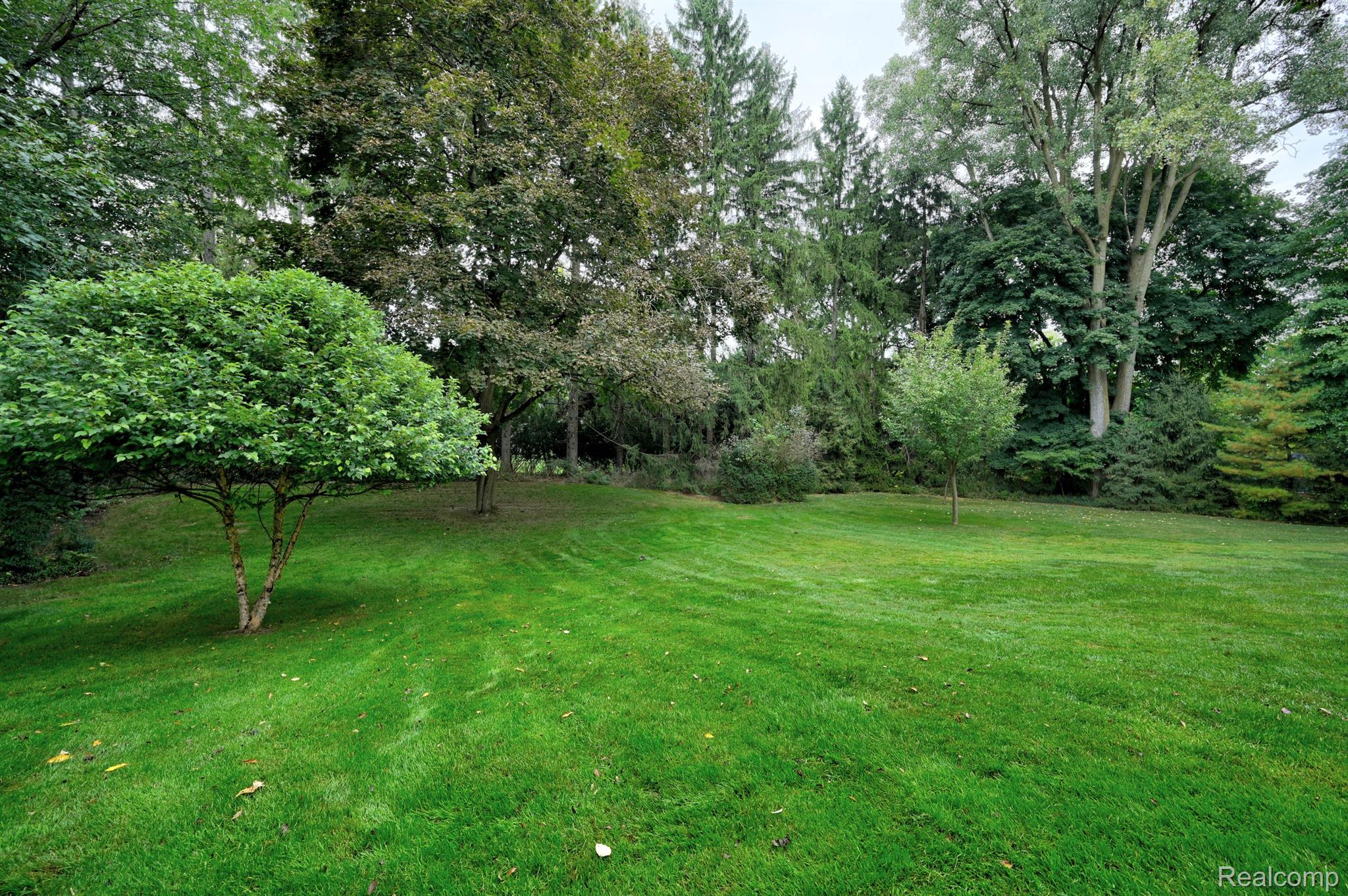 539 WHITEHALL Road