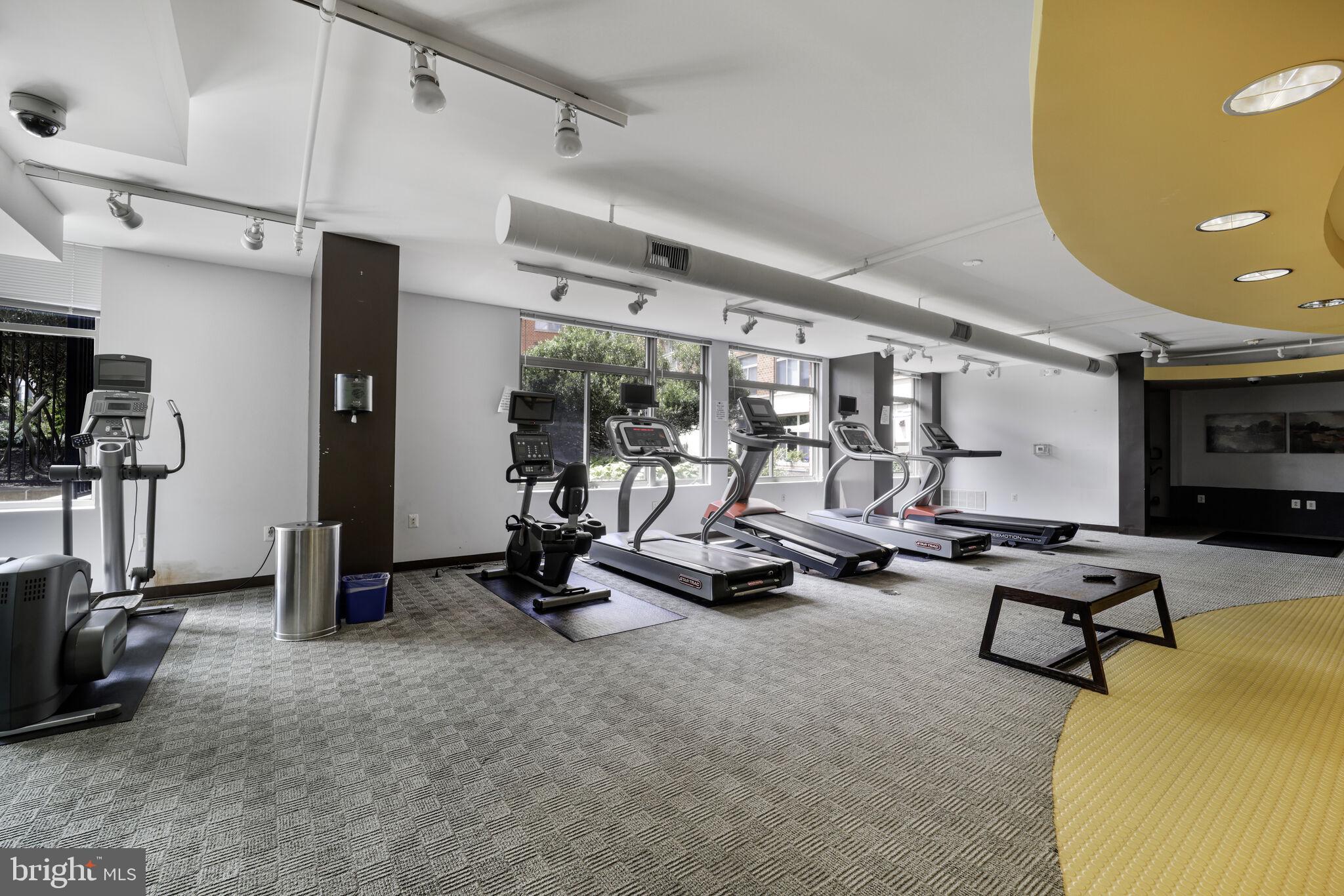 3600 S GLEBE ROAD 613W