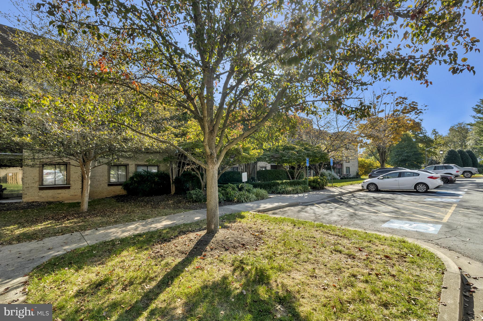 10300 Bushman Dr #109