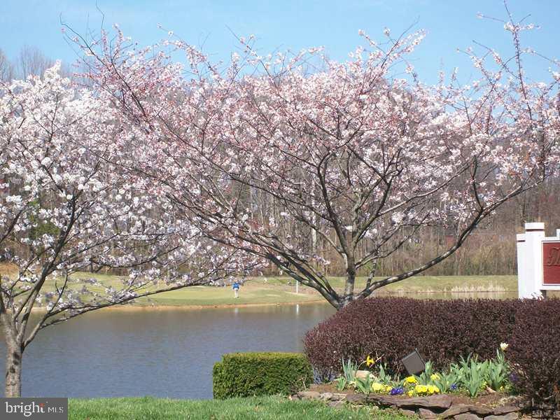 3800 RIDGE KNOLL COURT 2