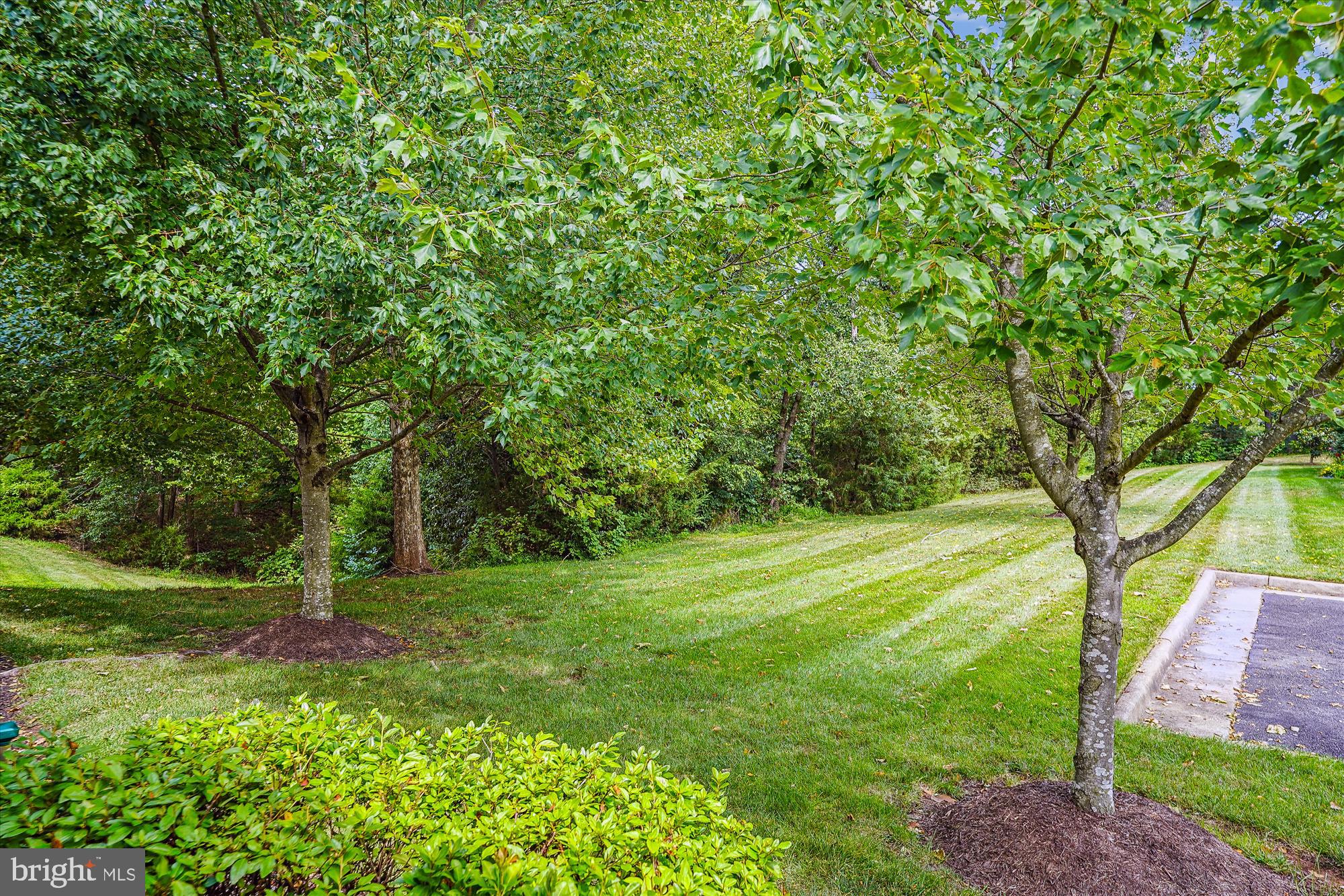 6550 Bullen Bluff Ter