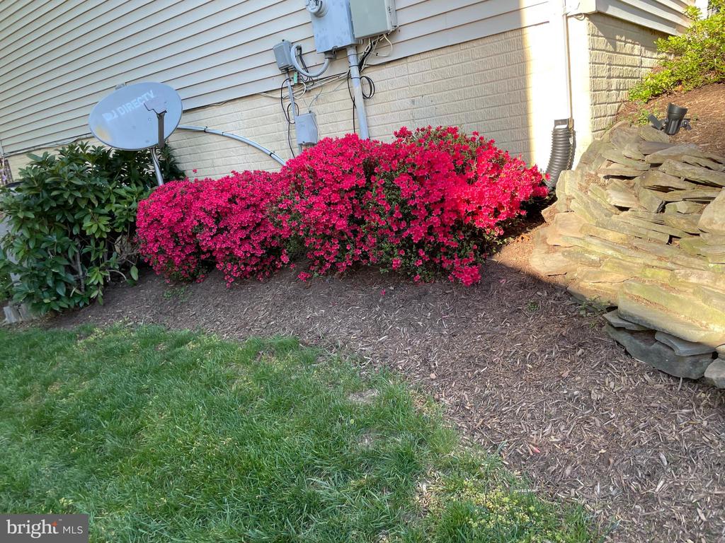 2884 Nicely Ct