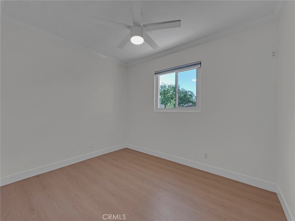 1316 Calle Tulipan