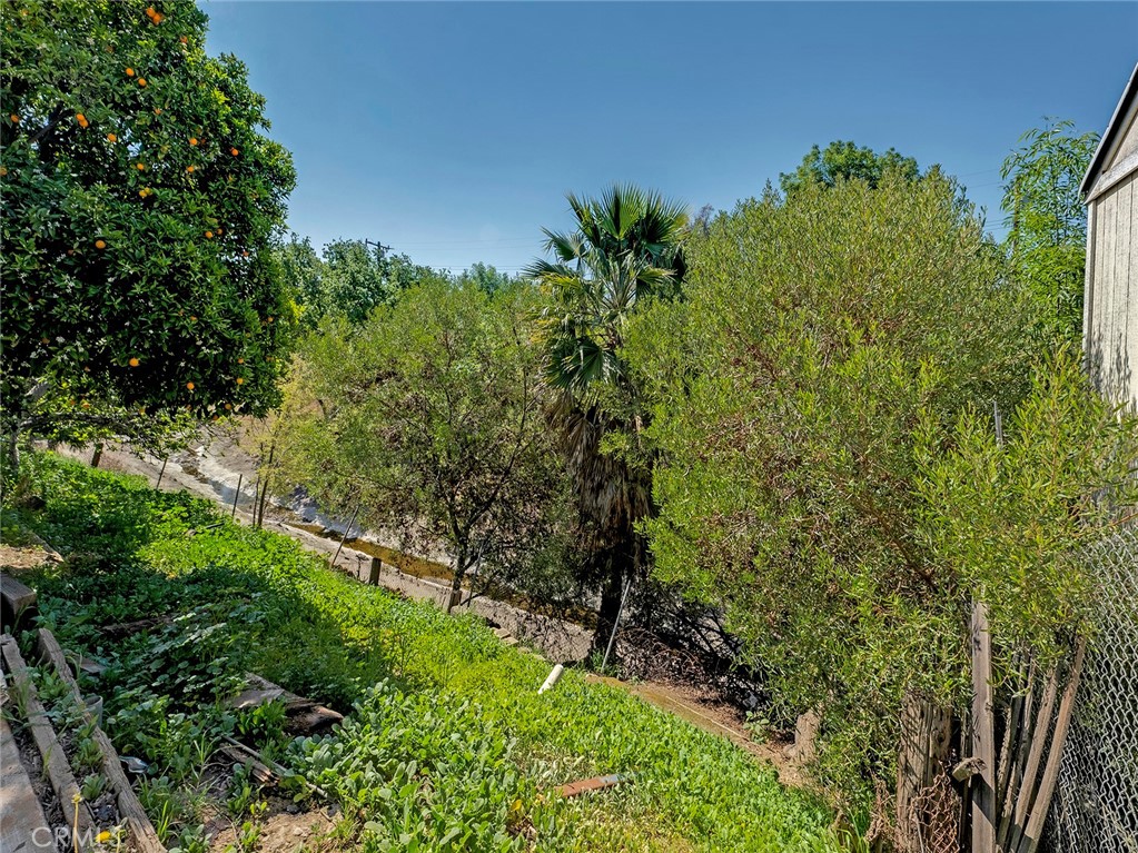 1316 Calle Tulipan