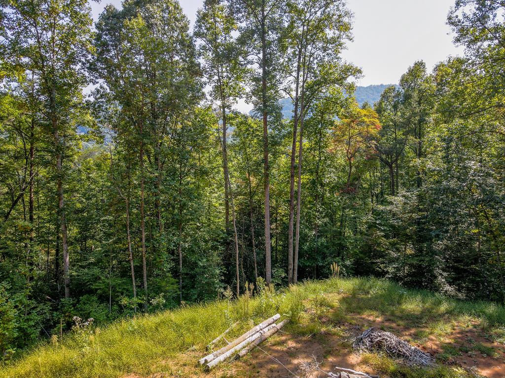 00 Onion Mountain Rd