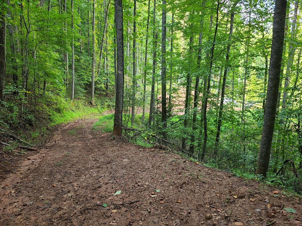 00 Onion Mountain Rd