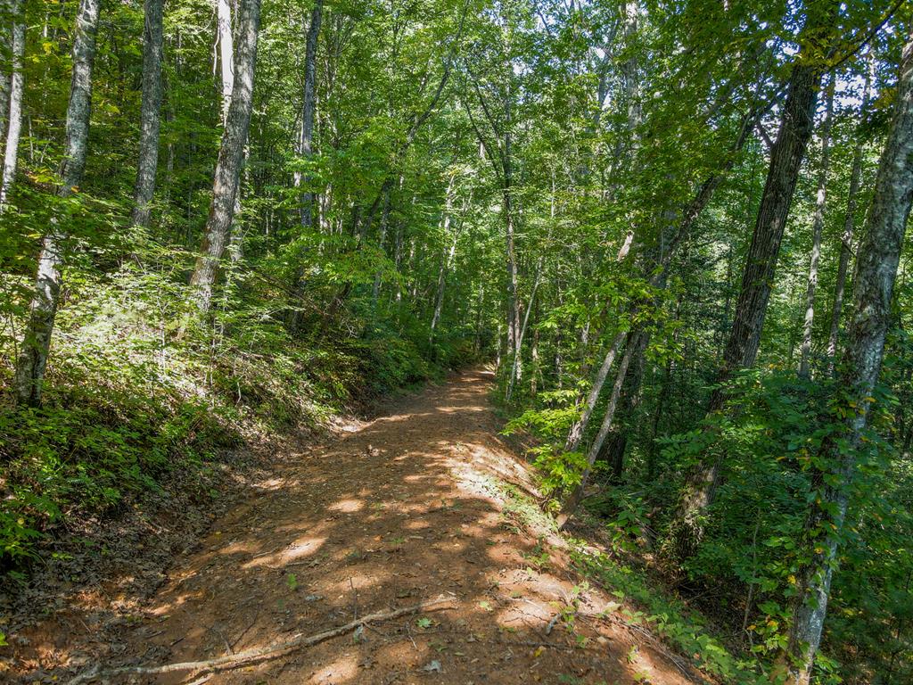 00 Onion Mountain Rd