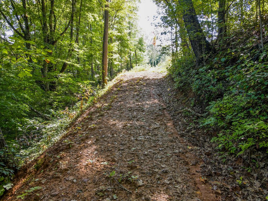 00 Onion Mountain Rd