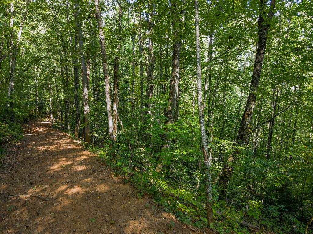 00 Onion Mountain Rd