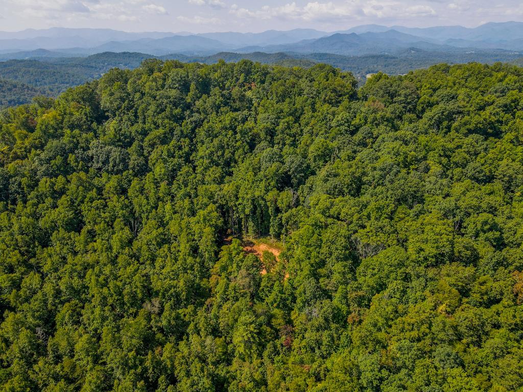 00 Onion Mountain Rd