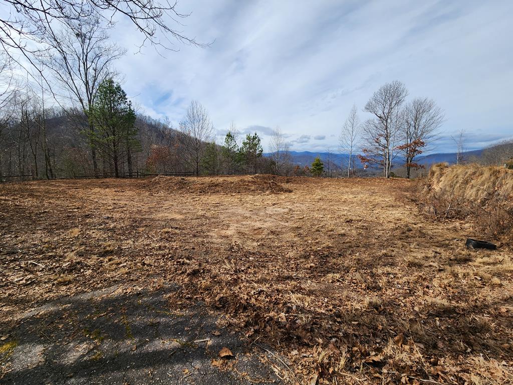 235 Hawks Shadow Trail
