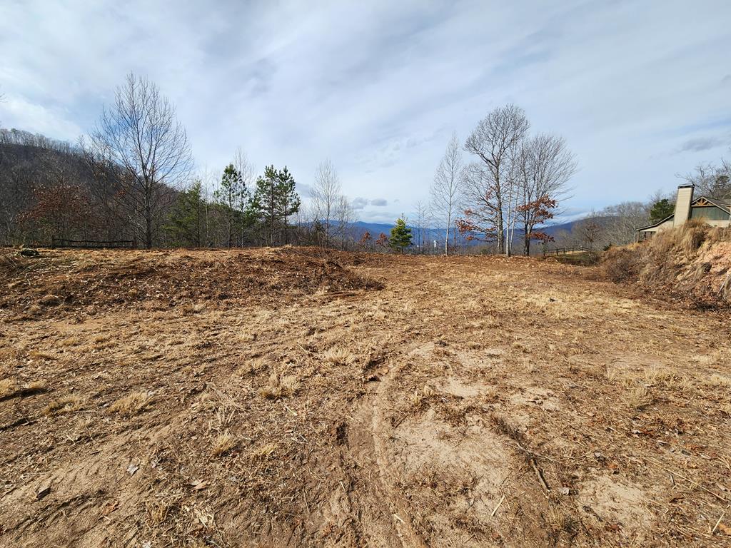 235 Hawks Shadow Trail