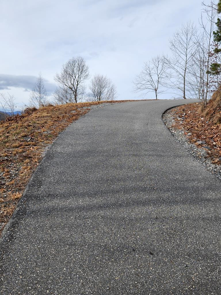 235 Hawks Shadow Trail