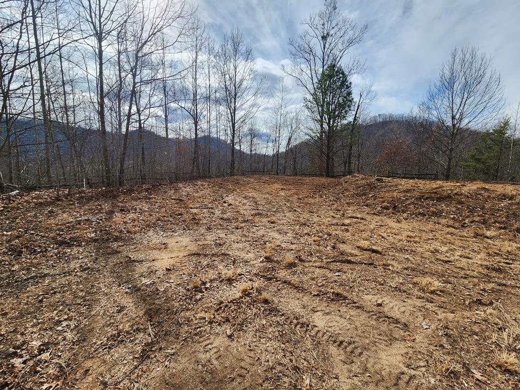235 Hawks Shadow Trail