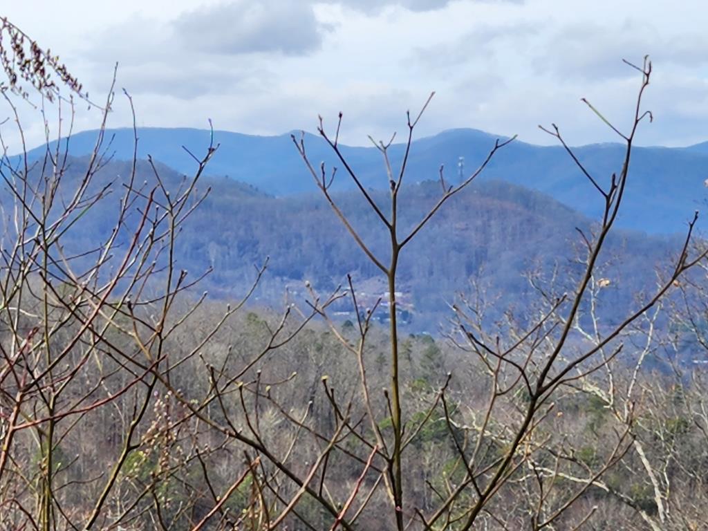 235 Hawks Shadow Trail