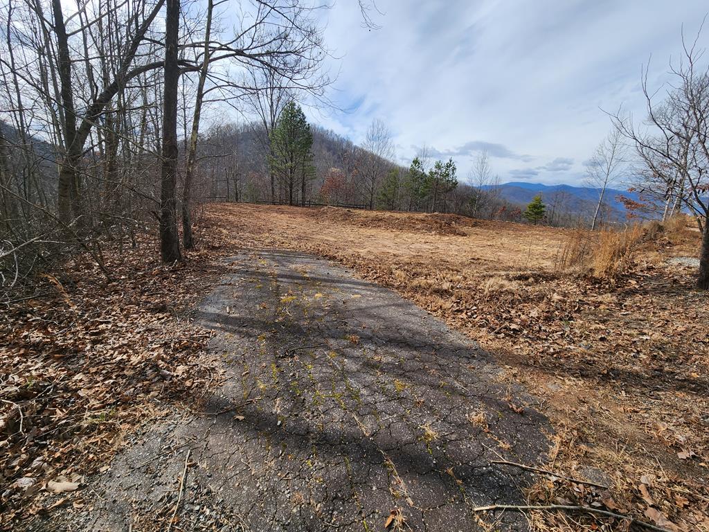 235 Hawks Shadow Trail