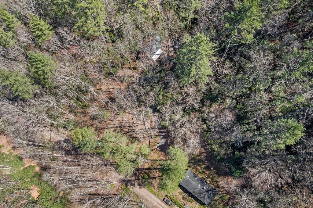 100 Rinehart Creek Rd