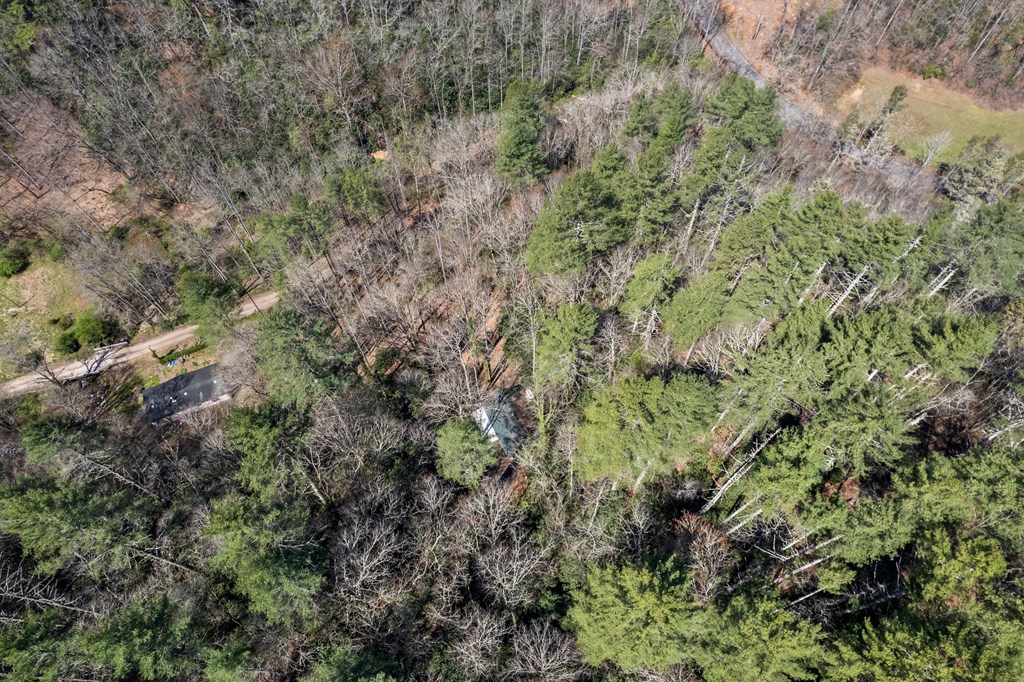 100 Rinehart Creek Rd