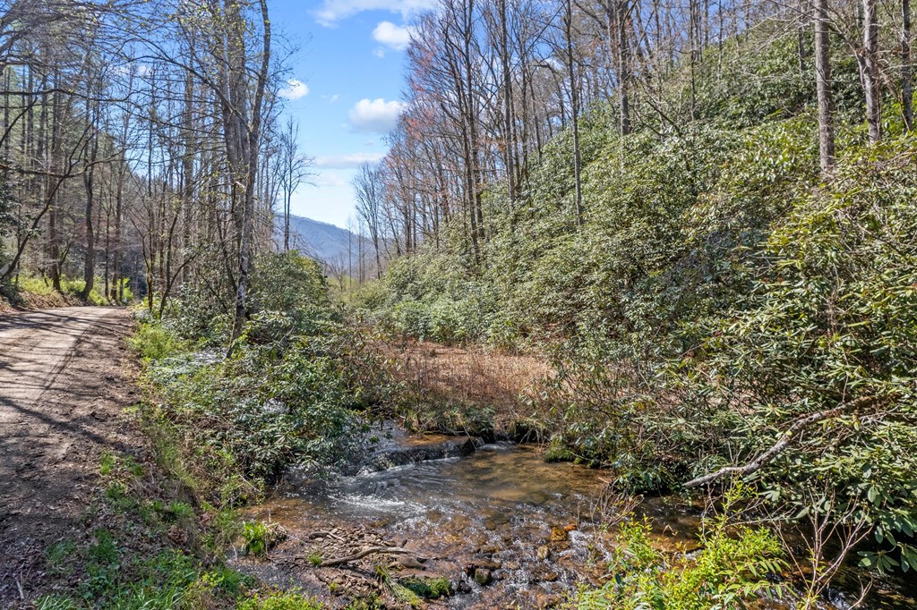 100 Rinehart Creek Rd