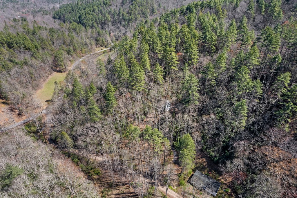 100 Rinehart Creek Rd