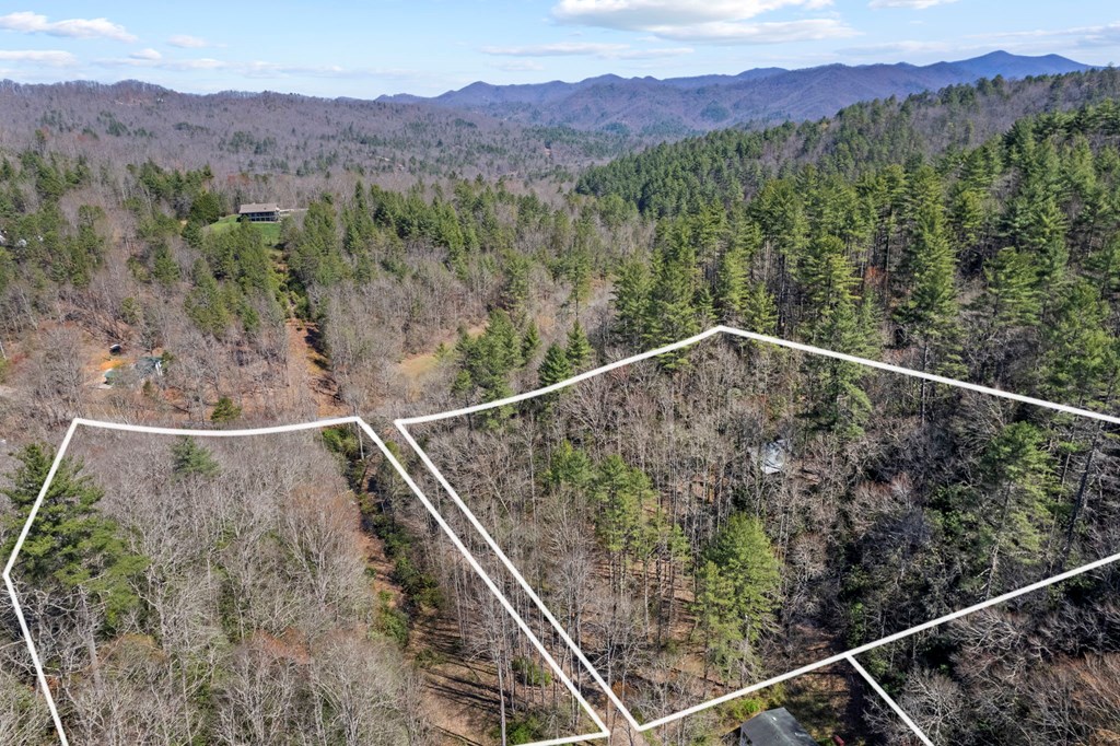 100 Rinehart Creek Rd