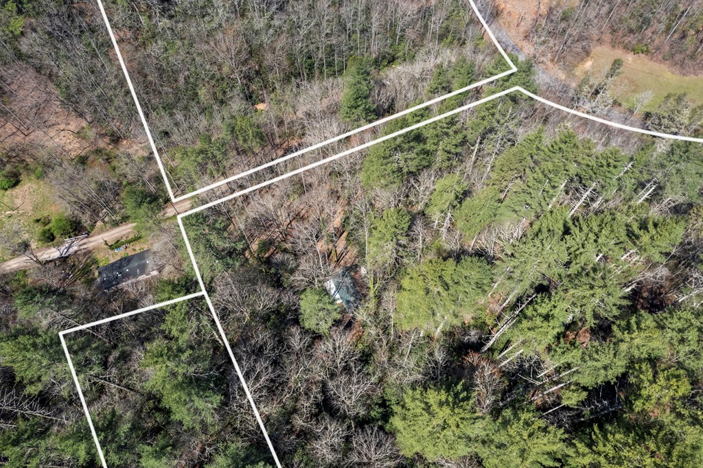 100 Rinehart Creek Rd
