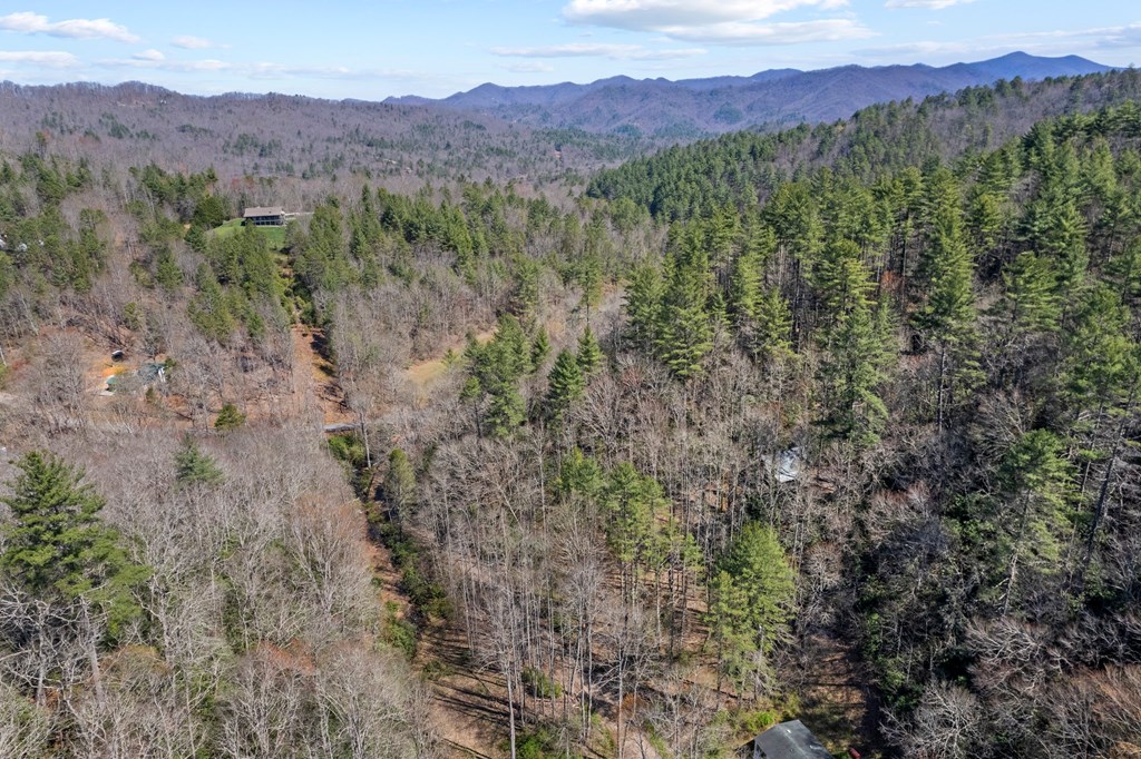 100 Rinehart Creek Rd