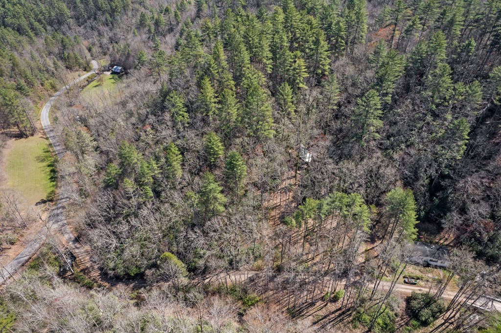 100 Rinehart Creek Rd