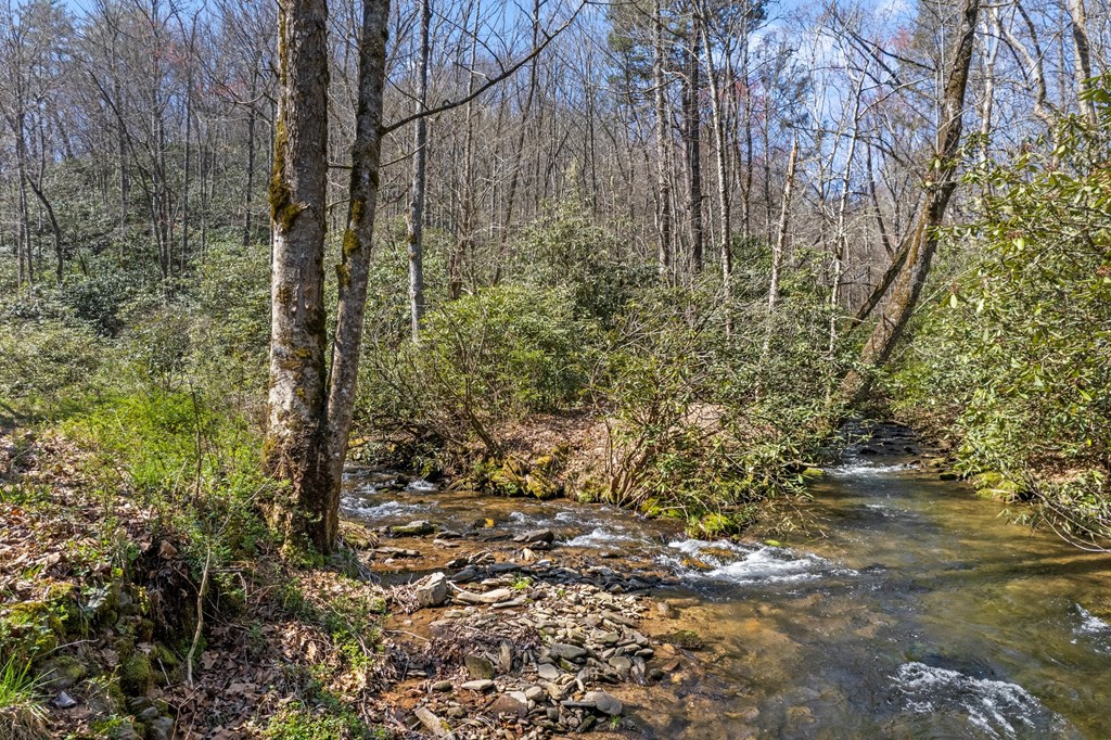 100 Rinehart Creek Rd