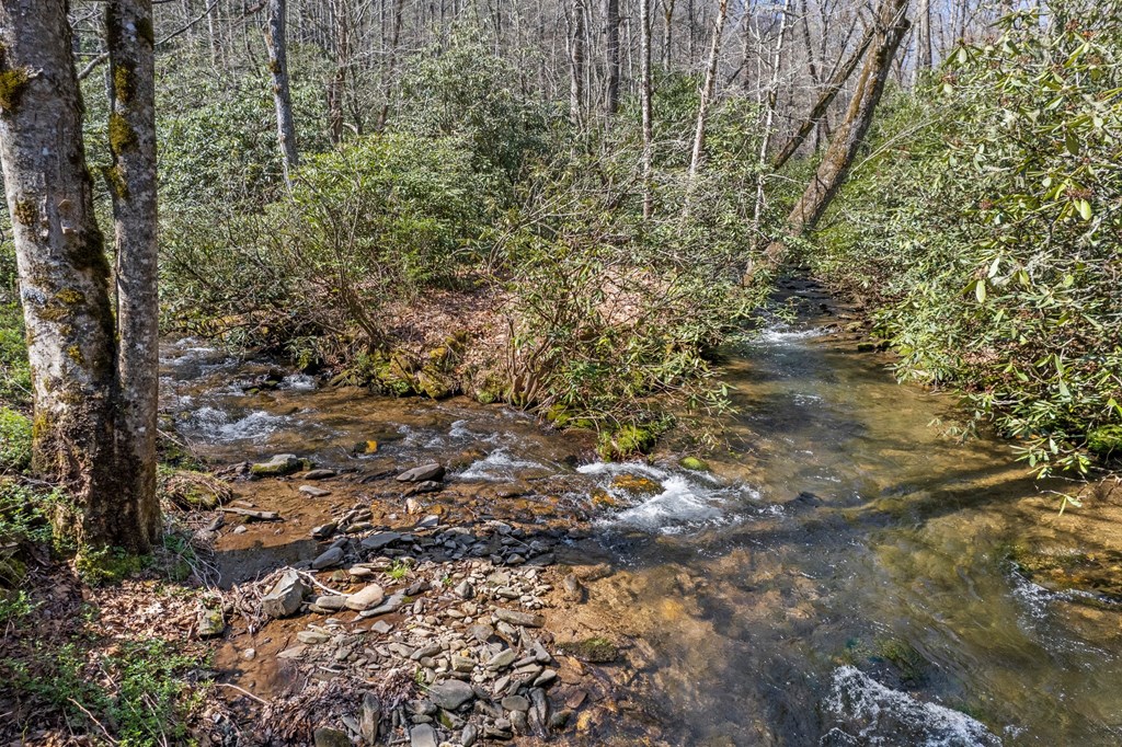 100 Rinehart Creek Rd
