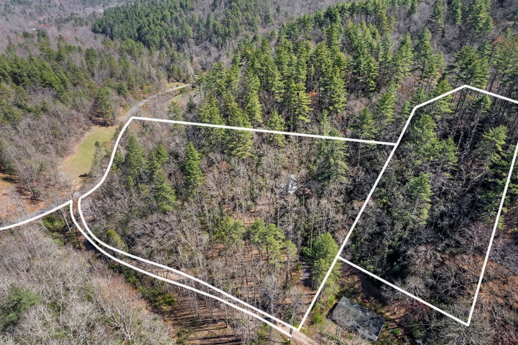 100 Rinehart Creek Rd