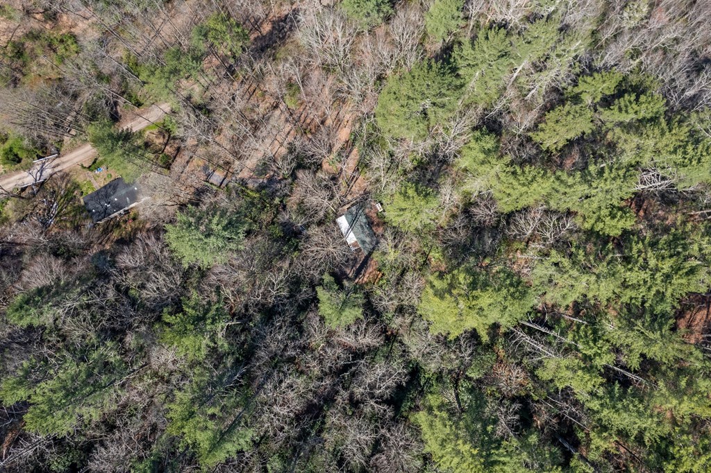 100 Rinehart Creek Rd