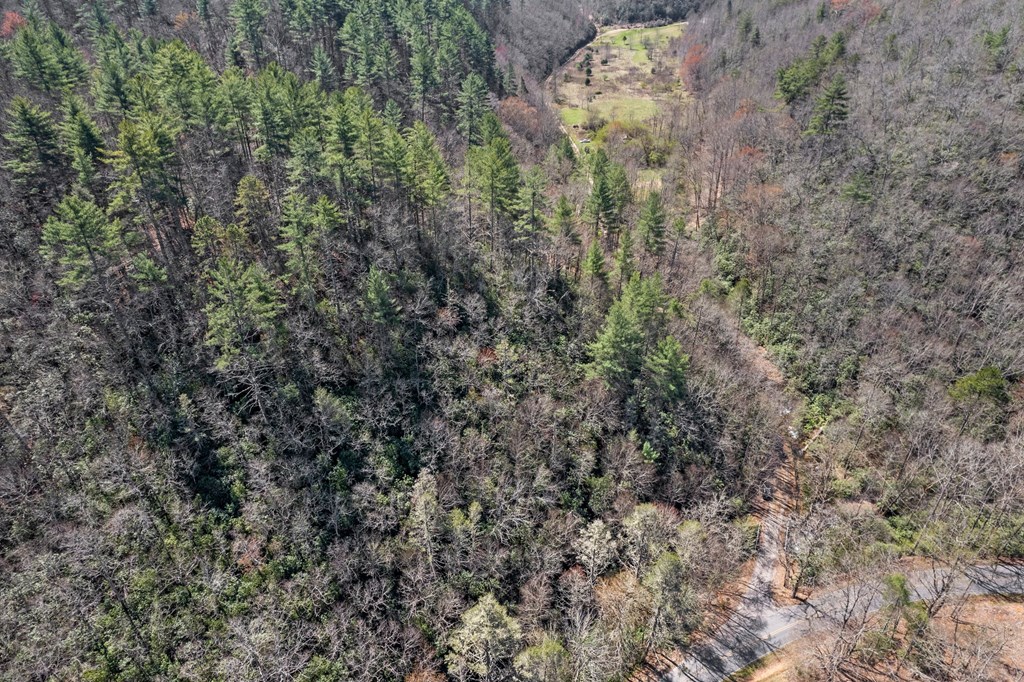 100 Rinehart Creek Rd