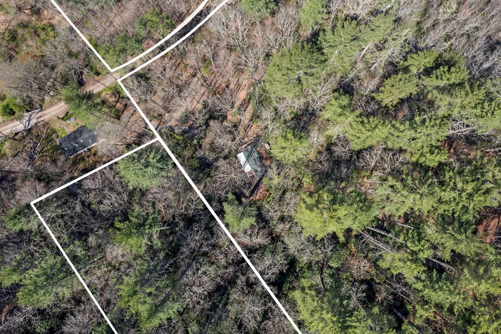 100 Rinehart Creek Rd