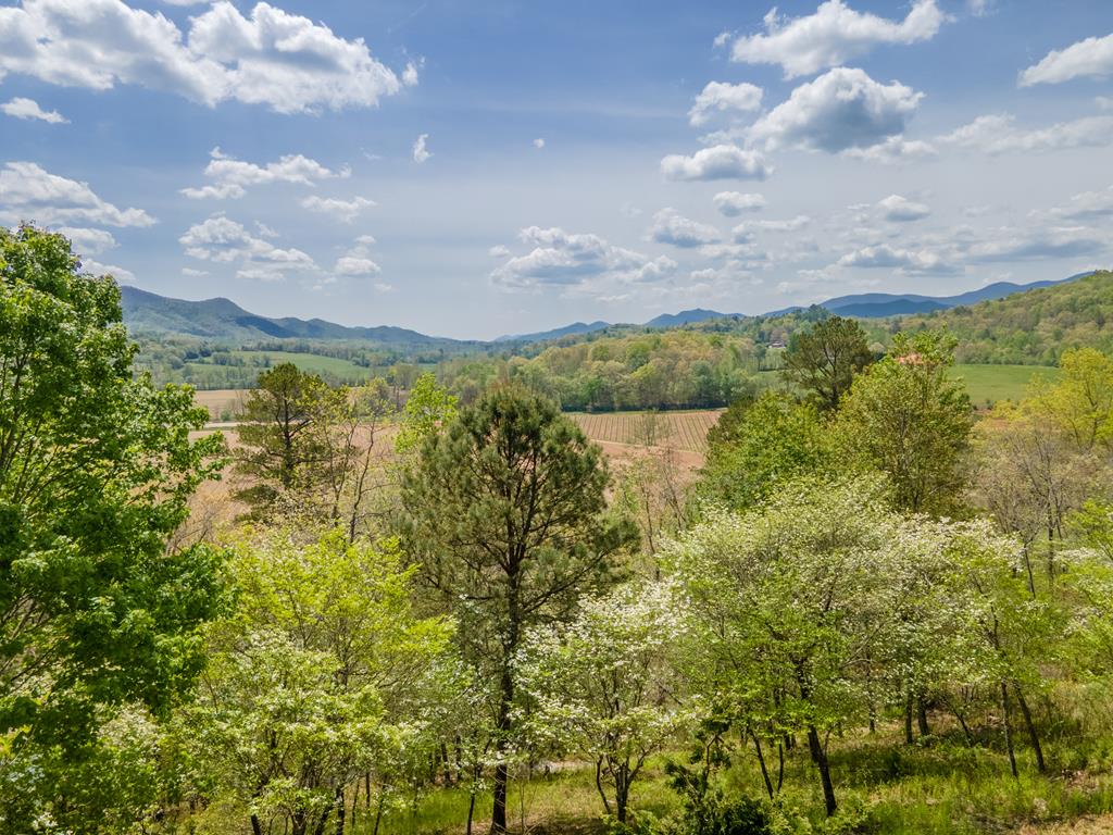 684 Country Walk