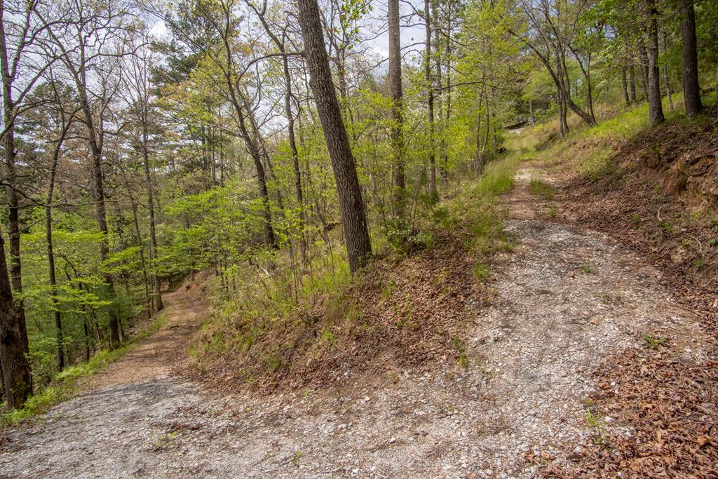 684 Country Walk