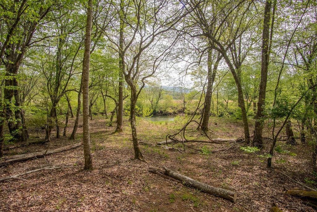 684 Country Walk
