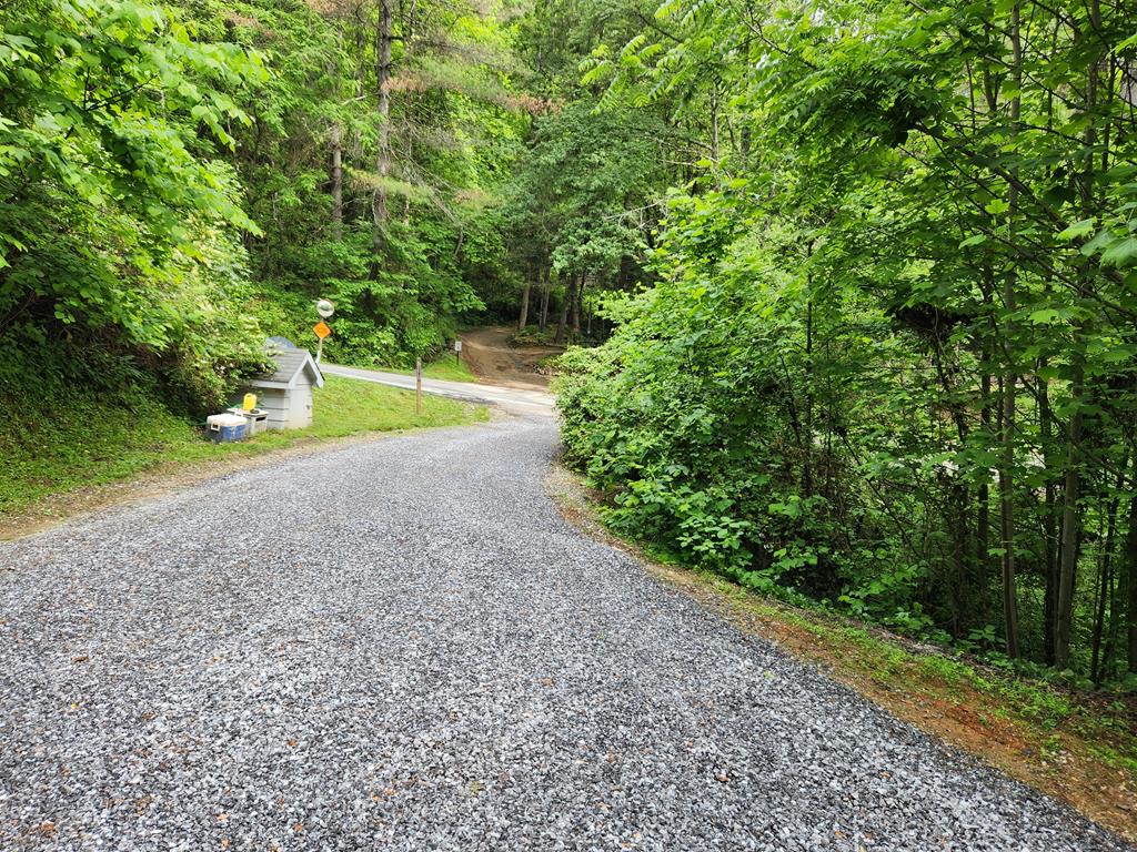 484 Shuler Rd