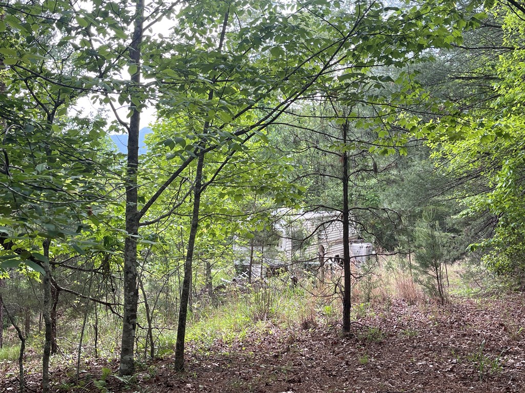 5 and 6B Mcgaha Rd